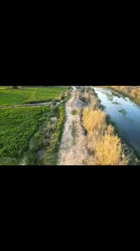 أرض زراعية • ٢٠ دونم • بني زيد سيد جودة