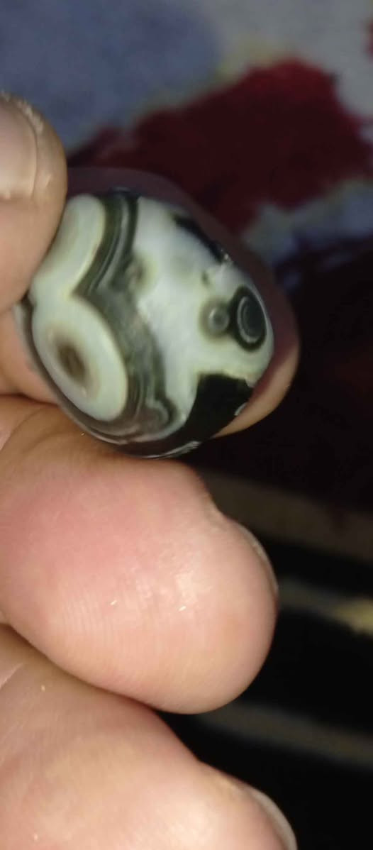 ‎خرزة سليماني‎ كربلاء, العراق


**إذا كنت صاحب هذا الإعلان وتريد حذفه لأي سبب، رجاءا أرسل رسالة إلى الدعم الفني**