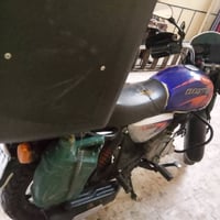 بوكسر • جبلي • ٢٣
