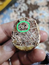 در المنثور النجفي • حصى الغري • النجف الاشرف