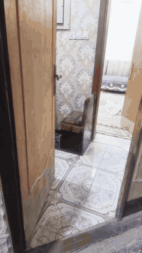 السلام عليكم
بيت للبيع المساحه ١٥٠ متر مربعه
الؤاجهه 12 م والنزال 13م 
جديد ونضيف للاستفسار***********
هذه الطابق الاول 
الطابق الثاني ٣ غرف مع صحيات 
وطارمه جبيره مع صحيات 
مع ٢ سطؤح
