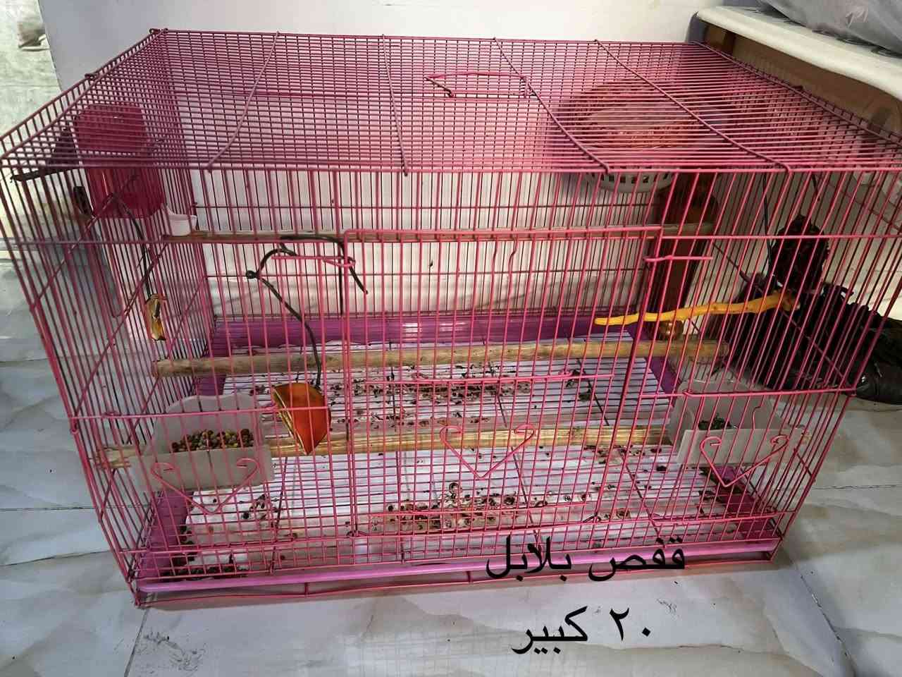 للبيع


**إذا كنت صاحب هذا الإعلان وتريد حذفه لأي سبب، رجاءا أرسل رسالة إلى الدعم الفني**