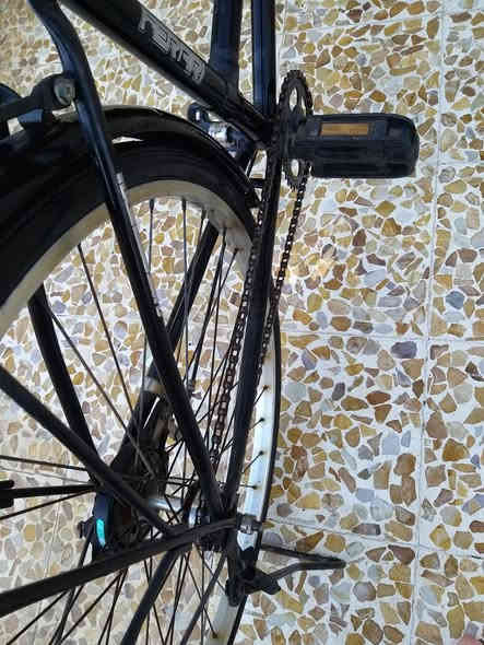 السلام عليكم بايسكل للبيع السعر 50 العنوان موصل حي سومر 
للاستفسار ***********
