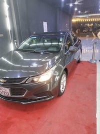 كروز ٢٠١٧ • ٣ قطع صبغ • رقم اربيل باسمي