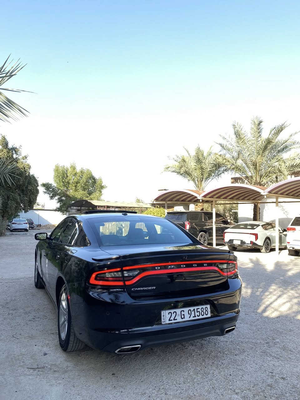 سلام عليكم
دوج جارجر SXT موديل 2022
فول 1/1 ماشيه (66) mil وارد أمريكي
المواصفات:-
فتحة سقف
حساسات خلفيه
هيتر بل مري 
كشنات جلد
كشنات تدفئه تبريد
كشنات كهرباء بل كامل
خزن ميموري
كشنات خلفيه تدفئه
شاشه كبيره تدعم كار بلاي
عداد 140
سستم صوت الباين
سبير منازل
دبل كزوز خلفي
محرك 6سلندر 3.6L
صدر امامي خلفي جديد
حادث جاملغ امامي جهة الصدر فقط بدون دواخل والباب مرشوش كلير
السعر (260) وبيه مجال
مكاني بغداد الدوره 
الاتصال عله الرقم (***********)
