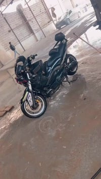 تي ماكس • 2011 • كلاجات مالوسي