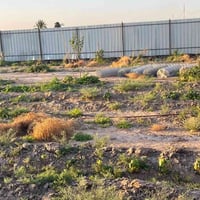 الشافعية • طابو زراعي • سند ٢٥