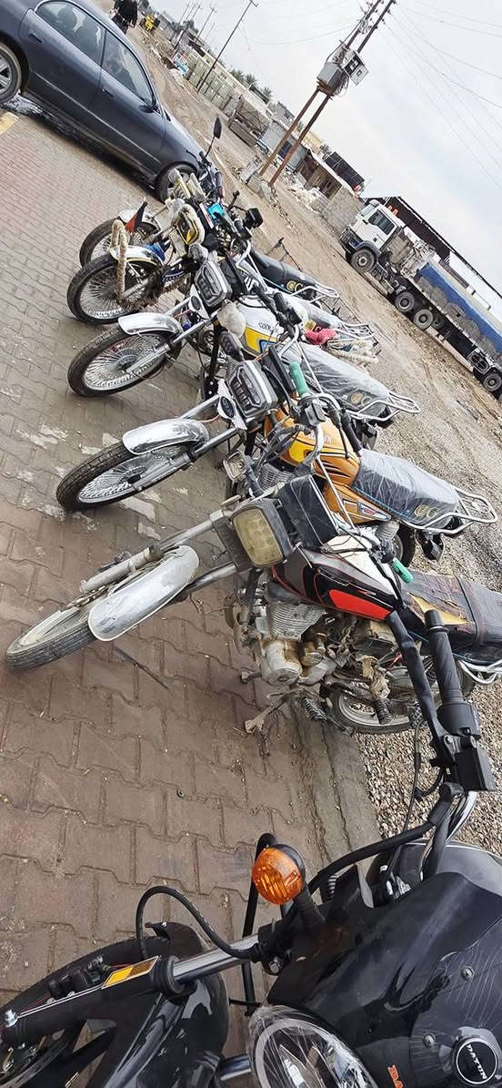 متوفر كافه أنواع درجات البيع
دايوان موديل 25شكل جديد 1450قفل ❤️

دايوان موديل 25شكل قديم 1475قفل❤️

دايوان موديل 26شكل جديد 1550قفل ❤️

تايكر موديل 25شكل جديد 850قفل❤️اة

العنوانً ديالى دلي عباس موجود خدمت توصيل ديالى و بغداد صلاح الدين  ***********البيع نقد فقط
