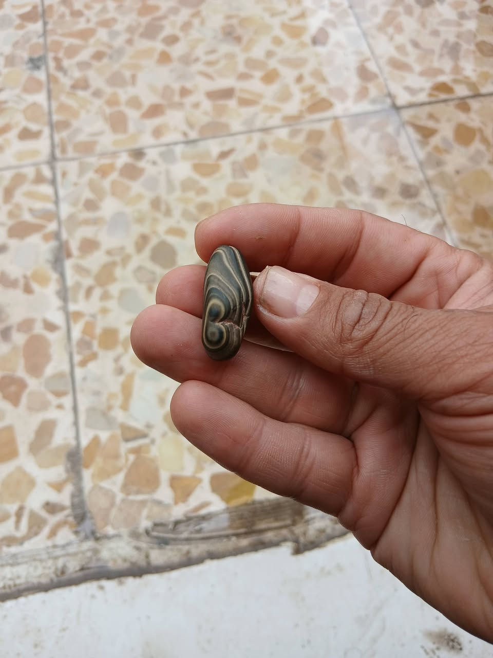 السلام عليكم عندي هاي الاحجار المهتم ويريدهن يراسلني ادزله بعد صور


**إذا كنت صاحب هذا الإعلان وتريد حذفه لأي سبب، رجاءا أرسل رسالة إلى الدعم الفني**