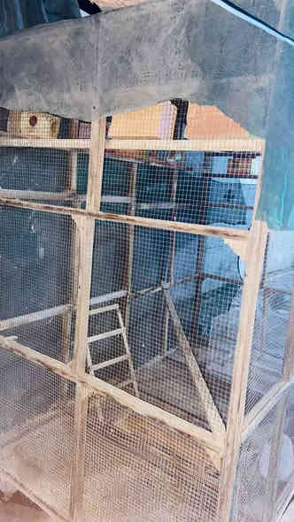 السلام عليكم 
متاح قفص درجه اولى
يصير الى كل انواع الطيور 
ارضيه خشب بلوك 
السكف  فايبر 
ارتفاع  2متر /طول ٢متر /العرض متر و25 
استخدام اقل السنه 
يحتوي على 9بقالات طيور حب 
السعر ب60وبيه مجال 
المكان حله مركز  قرب جسر بته 
الاستفسار على الرقم ***********
او خاص
