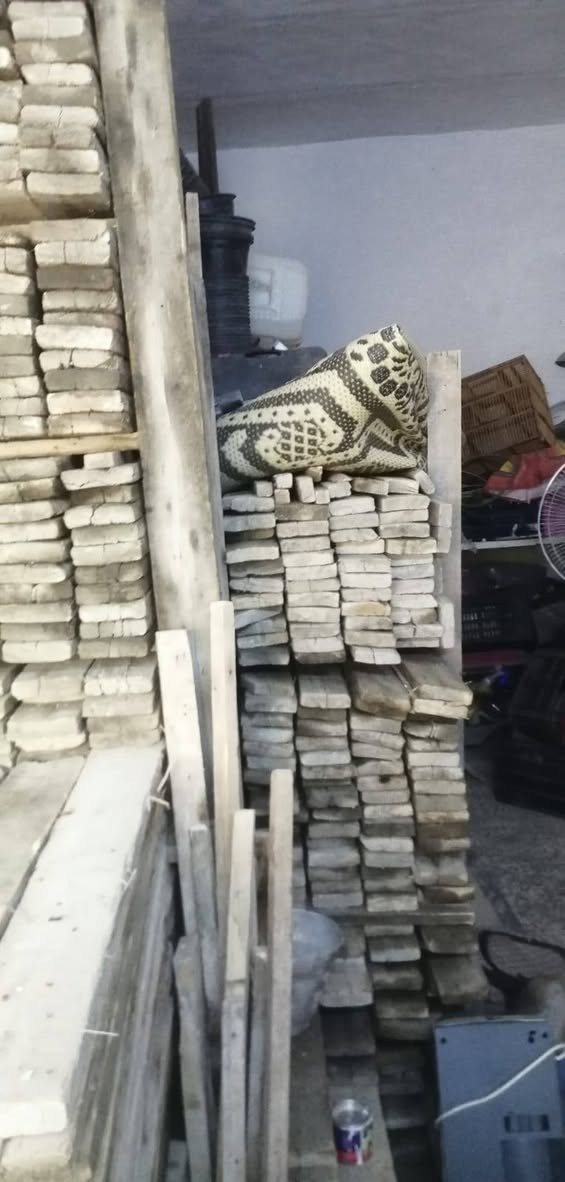 ياالله بسبب الوعود الكاذبة يوجد قالب كامل يدك مساحة ٤٥٠رباط وسكف العدد ١٩مكعب للبيع مع جكات ٤٠٧ عجمان سن خشن وياه ٦٠فخة العنوان ميسان_العماره للأستفسار على الرقم *********** اني مكلف بلنشر
