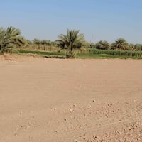 قرب جامعة بابل • طابو زراعي • سند ٢٥