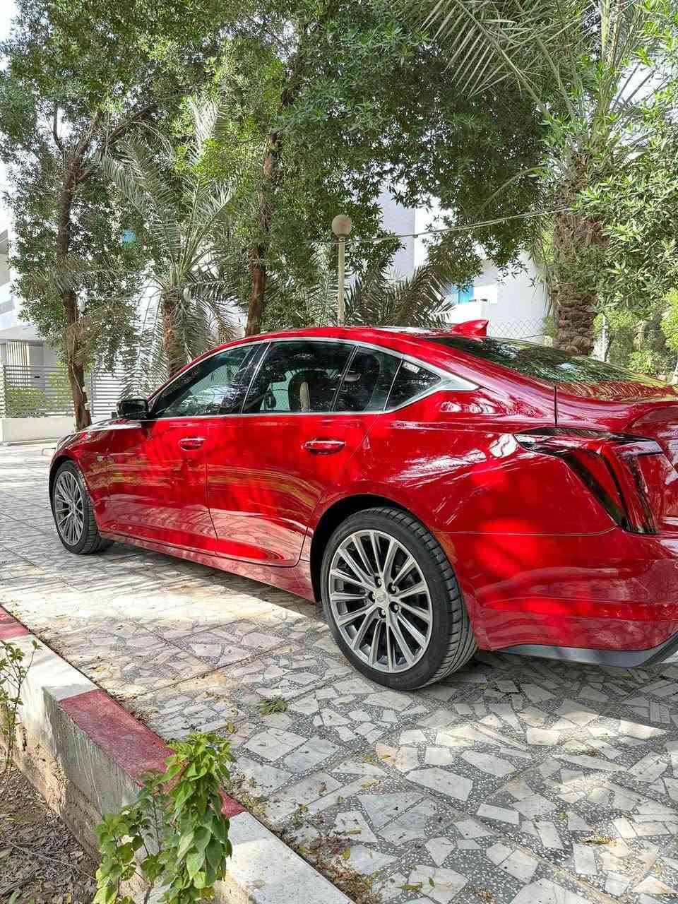 كاديلاك ct5 موديل 2020
رقم بغداد حرة
تقرير غرق  السياره 
مغلفه نانو
فتحة بانو راما فول مواصفات 
4 سلندر تيربو 
محرك2000
 بيع فقط 
للاستفسار على السعر التواصل على الرقم :
***********
