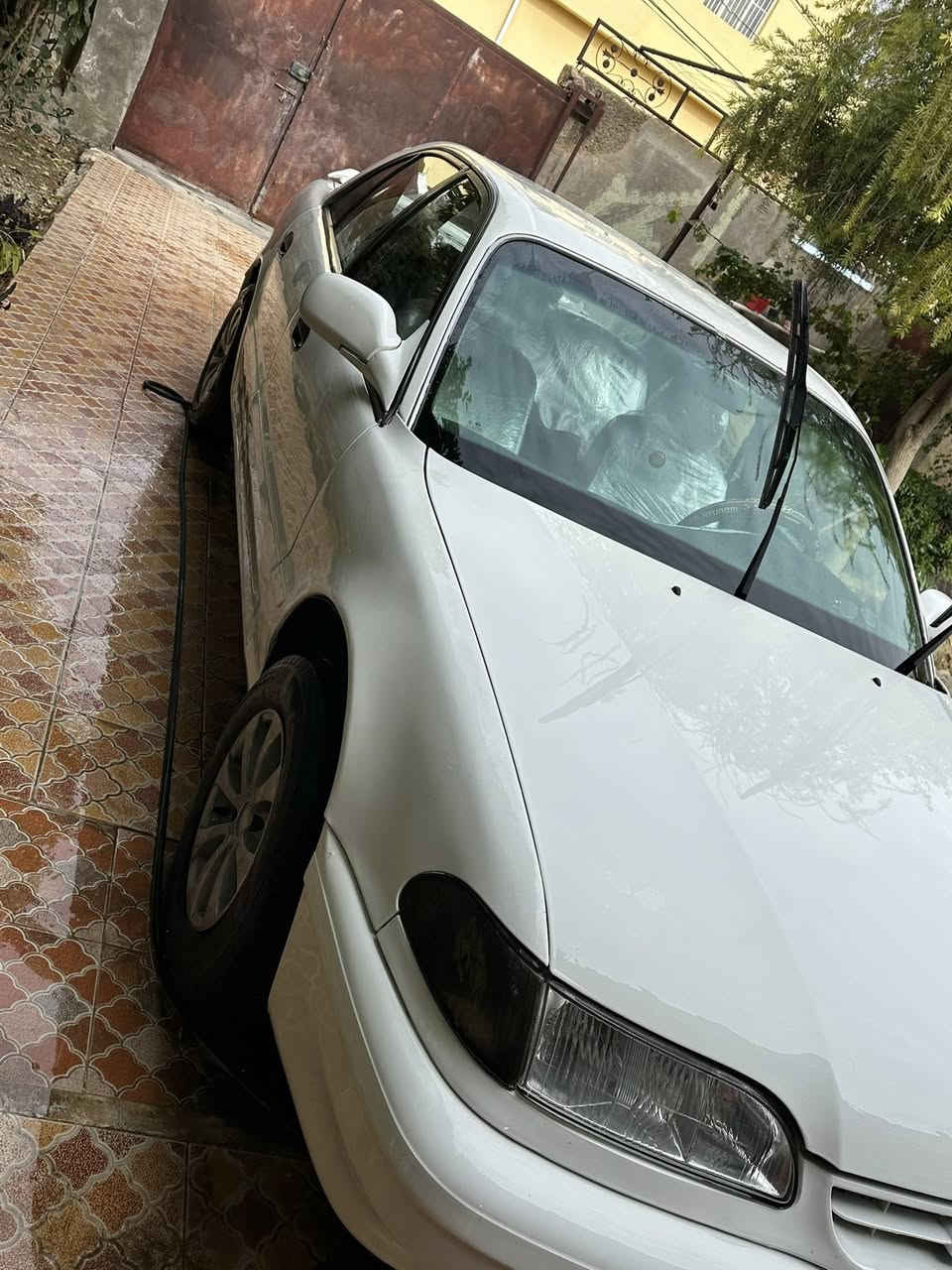 ﷽

سلام وعليكم سوناتا ثري  موديل 1995 رقم #بغداد  4سلندر  مصبوغه صبغ درجه اولى فرن للجماليه بدون اي حادث شرط مكفوله كفاله عامه مكينه وكير جدد بيهه تعجيل وتراي يخبل صدر خلفي امامي   غرفتهه ع وضع الشركه نضافتهه فول  حتا الكاعية  جلد لأصلي كهربائيات سياره ع بلاد تخم تاير نضيف جديد ويل كب بلادي مجلي سياره ع ايد وحده مال جناي متعوب عليهه ومصروفلهه هواي وبالخير ع ياخذهه  #السعر55 وبيهه مجال مكاني ديالى تقاطع الوجيهيه للتفاصيل اكثر رقم الهاتف ***********. إذا اكو  كورلا  94  مراوس عادي بس بشرط بضيفة
