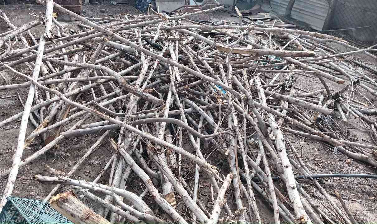 السلام عليكم حطب البيع والشري يجي خاص


**إذا كنت صاحب هذا الإعلان وتريد حذفه لأي سبب، رجاءا أرسل رسالة إلى الدعم الفني**