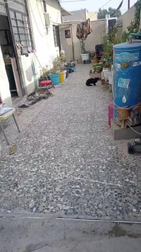 بيت زراعي • ٢٠٠م • حي الرفاق