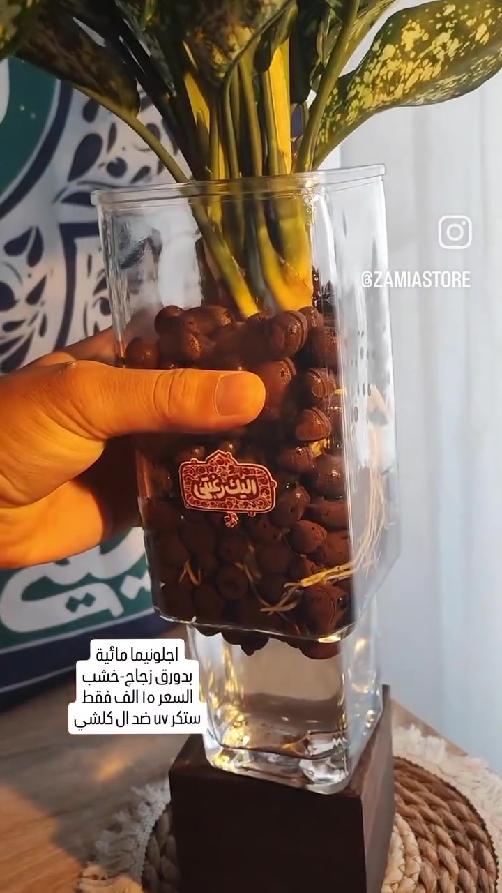 https://www.instagram.com/reel/DY_pwCrNeWy/?igsh=MXJqYTgwbWV4MXdpdQ==


**إذا كنت صاحب هذا الإعلان وتريد حذفه لأي سبب، رجاءا أرسل رسالة إلى الدعم الفني**