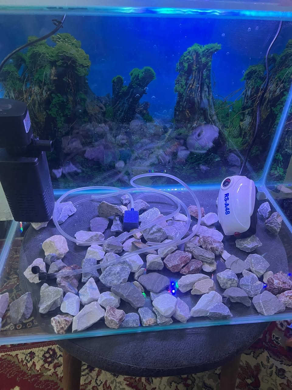 السلام عليكم حوض سمك للبيع قياس 50 ×30
غراضة كاملة انارة وفلتر كبير ومضخه صغيرة كامل مكمل بس تترس مي وسمك سعرة 40 الف بي مجال  *********** واتساب
