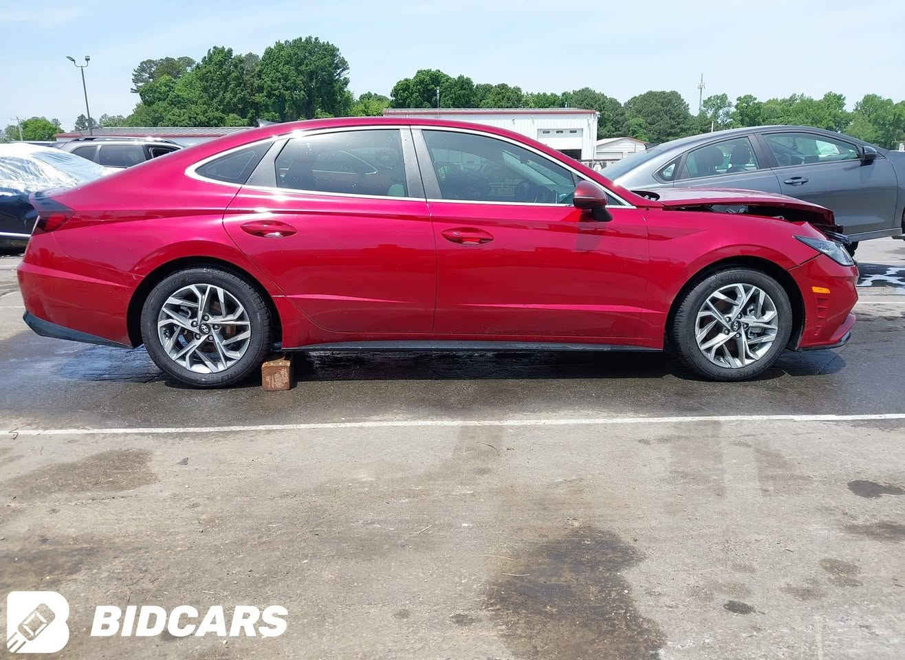 سلام عليكم ورحمة الله وبركاته 
سوناتا للبيع موديل 2023 
ماشيه 4000 زيرو 
مكينه 2500 
كير 8 نمر تبترونك المرغوب 
حادثها بنيد فقط تبديل وبدون ايرباك ودواخل (صور الحادث بلمنشور )
بصمه تشغيل 
اشاير بلمري 
هاند بريك دكمه 
كشن السائق كهربائي 
رادارات جانبيه 
رادار امامي 
4 مودات قياده 
اوتو هولد 
كير بصمه 
شاشه كبيره 
شاحن لاسلكي فاست چارچ
نظام اندرويد  اوتو وابل كار بلي 
كامرا دواره 
اناره امامي عدسات زينون بلاد 
اناره خلفيه لد 
هيتر كشنات السائق والعبري 
شاحن سريع للموبايل 
تغليف الداخل كاملا للحمايه 
بصمه قفل وفتح الابواب  
اناره ترحيب يدات البيبان وعند الاقتراب 
عداد المسافه 4000 زيرو 
رقم السياره اربيل وهزه وسنويه جديده  باسمي تريد تحويل تريد وكاله موجود مكانها كربلاء طويريج السعر خاص او الانصال  ***********
