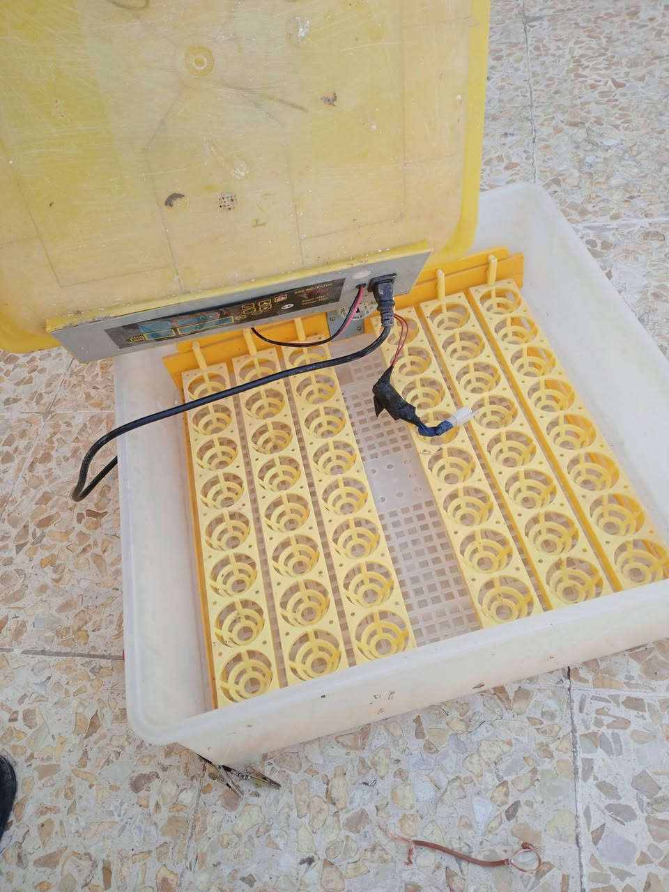 ‏‪***********‬‏مفقسة للبيع تاخذ 48 بيضه سعر 100 وبيه مجال
