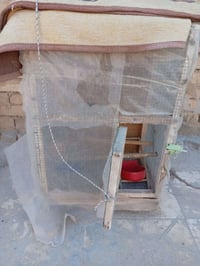 اقفاص • عدد ٢ • الكريعات بغداد