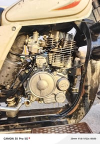 ستوته • موديل 20 • عوسجه