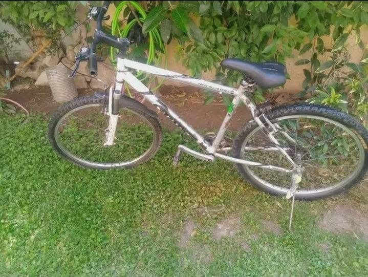بايسكل قوي نوعيته زينة طالب علي 70,000


**إذا كنت صاحب هذا الإعلان وتريد حذفه لأي سبب، رجاءا أرسل رسالة إلى الدعم الفني**