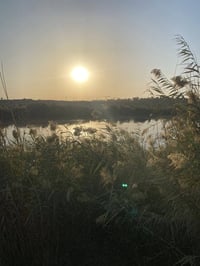 دونم • القادرية • ماء كهرباء
