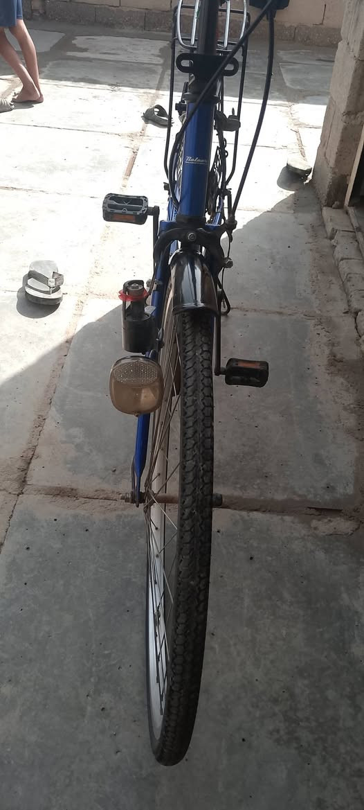 باسكل ياباني كرتون موديل 19ابلاد ما مبدل كلش ختم الستيرن المكان شطره غراف الرقم ***********السعر 120 وبيه مجال مراوس اراوس عادي
