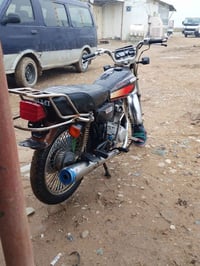 تايجر • ١٨ • بدون اوراق