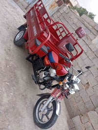 ستوته • موديل ٢٠٢٣ • الرمادي