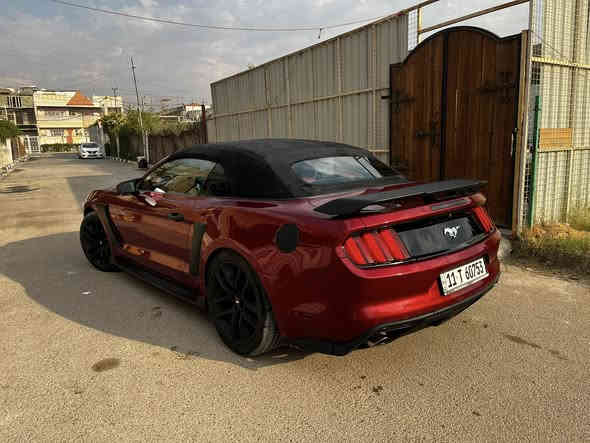 سلام عليكم من رخصه الادمن.  للمراوس و انطي فرق ماكو مشكله 
فورد موستانك 2016   (خمسينيه ) 

بريميوم 

فول 1/1 

شاشه جبيره 

تدفئه تبريد كشنات 

ابل كار بلاي 

تحكمات ستيرن 

شفتات ستيرن 

ستيرن كاربون فايبر 

محدث بجم شيلبي 

حادثها جاملغ امامي بس وهنا صار بيها 3 قطع يعني السياره بيها 4 قطع صبغ 

السياره داخل احمر 

كشف شغال 100/100 

3 انضمه قياده 

كشنات كهرباء 

السعر 133 

مكاني بغداد 

***********
