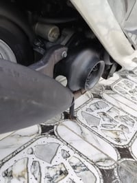 ماكس • كفالة عامة • بابل