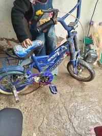 باسكل • حجم ١٢ • بعقوبه تحرير