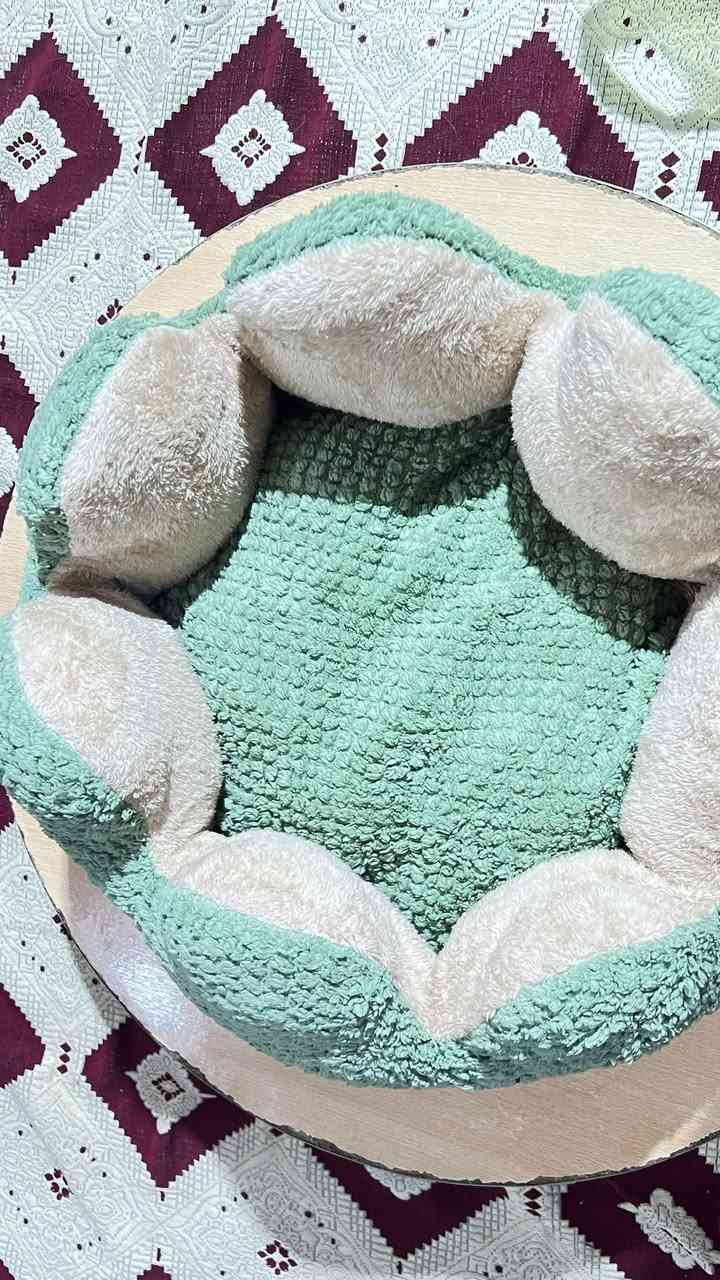 اغراض قطط وكلاب وطيور للبيع باسعار جداً مناسبة


**إذا كنت صاحب هذا الإعلان وتريد حذفه لأي سبب، رجاءا أرسل رسالة إلى الدعم الفني**