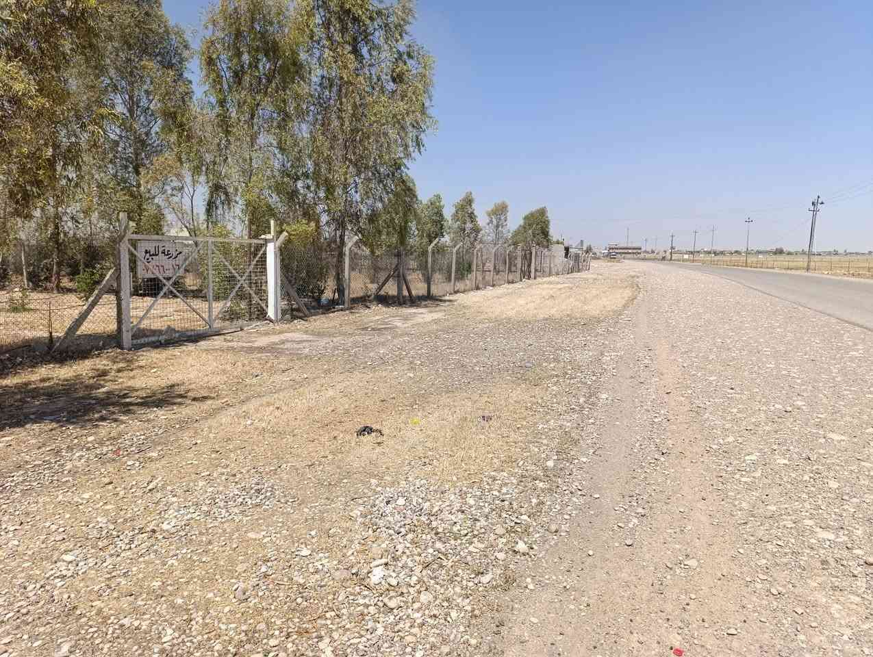 #مزرعة  للبيع طابو زراعية 🏠🏠🌴🌴 

#المساحة،، (دونم ونص) واجهة ع شارع عام

يتكون من غرفتين النوم  +.غرفة استقبال + هول +مطبخ+هول

#المزرعة كامل مسيجة وبيه حديقتين كبيرة  مع اشجار مثمرة زيتون +تين + رمان + مشمش + برتقال) 
مع كهرباء رئيسي + بير ماء + مكان تربية حيوانات

#العنوان،، (كركوك،ناحية ليلان،،قرب ماركيت ادريس اول مزرعة قبل تكية محمدية قريب ع سوك وماركيت )

#المكتب بخدمة زبائنه الكرام 🎄🎄
اللاستفسار اتصال ع ارقام مكتب جمال للعقار والمقاولات

 ***********📞واتساب

بۆ زانیاری زیاتر پەیوەندی بکەن بە ژمارە 
یان سەردانی ئۆفیسیمان بكةن 
ناونیشان :  📌که رکوک،،شورجة
 :ئيوةش دەتوانن مولکەکانتان بنیرن بێ به رامبه ر
📌 ناونیشانی تەواوی موڵکەکەت
🏡 چەن وێنەیەکی موڵکەکەت
💲 نرخی موڵکەکەت
للمزيد من المعلومات نرجو منكم زيارة مكتبنا🏦 
العنوان،مكتبنا،،شورجة مقابل حفته بازار
ملاحضة#عربي 
يمكنكم إرسال الاراضي والأملاك للأعلان عنه في صفحتنا بدون مقابل 
عنوان كامل للمُلك 📌
كم صورة من المُلك🏡
سعر المُلك💰 #ليلان #كركوك #جيمن #حصار #سقزلي #بردي #تركلان #داقواق #دوز #تازةعظيم #ديالي #شهربان #بغداد #مزارع
