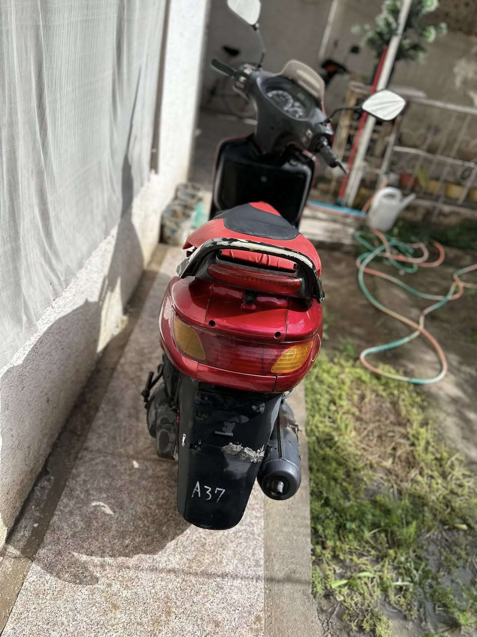 ‬
السلام عليكم
فراشه فحل للبيع صار 6 اشهر من طلعت من الرمبه محرك مامفتوح الكفر بي ملاحظات بسيطه سعر 525 وبيه مجال عنوان الحله تواصل ‭0771 319 1215‬
