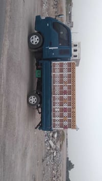 المحجر • رمادي • مجال قليل