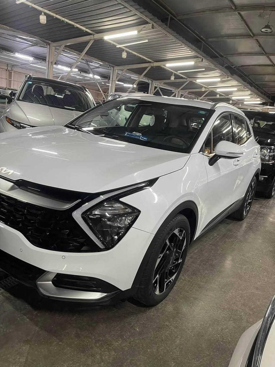 رمضان كريم

كيا سبورتج خليجي 2024 ضمان شركه نم 5 سنوات 

مرقم بغداد 

السياره ماشيه  22 الف كيلو  

مكفوله كفاله عامه  من الصبغ والحادث  والبارد  عدا كم حالوبه بالقماره 

 قماره حديد 

بصمه تشغيل 

جنطه كهرباء

تبريد مناخي

كراسي كهرباء

تدفئه مقود والكشنات 

نقطه عمياء 

شفتات استيرن 

شاحن وايرلس 

ويل كب حجم 19 انج 

هندر كهرباء / اوتو ستوب 

مرايه عاكسه للضوء 

تبريد  خلفي

السياره جديده جدا ورايدها 210$ 

والاتصال ‭0773 351 2677‬

بغداد / الوزيريه بغداد, العراق
