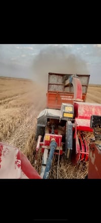 تبانه يولشات • ٢٠٢٤ • كركوك الحويجه