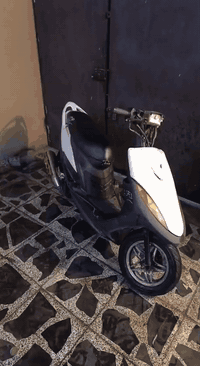 *اعادة نشر بسبب الناس التعبانه*
 سلام عليكم ماكس عدله للبيع بلاديه 49 مكفوله كهربائيات كله شغال من الطول للطول كلجات بلادي مكينه صالنصه ستيل مختلفه وياله رياضي الكفرات بس الصفاح تجاري الباقي كله بلادي من السوادات و شيل ايدك طخه سلف مو نگره طخه!!
تجي تفحص وتشوف شوفت عينك
السعر خاص اتصل وبلخدمه اني واليصير لوتي اكطع ال 45 🩴 
رقمي ***********
مكاني عبيدي حي الرئاسه شارع 20
واسف على الاطاله.
