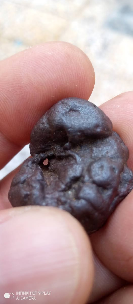 حجر هبهاب قديم


**إذا كنت صاحب هذا الإعلان وتريد حذفه لأي سبب، رجاءا أرسل رسالة إلى الدعم الفني**