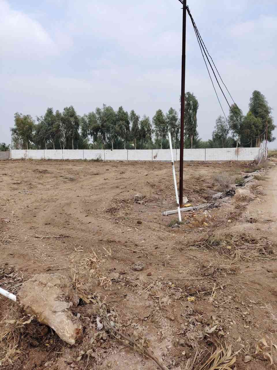 السلام عليكم أرض طابو زراعي للبيع المساحه 1730 متر الواجهة 39 والنزال 
46 متر سند باسمي مسيجة ومدفونه. المتنبي تعبر الطسات مسافه على جهة اليمين
***********
***********
