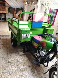 ستوته كربلائيه • اخضر • سنويه باسمي