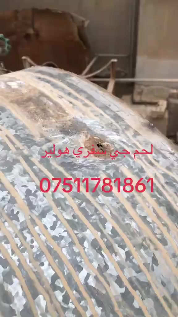 لحين جي سفري
