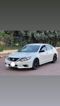 التيما • ٢٠١٦ • أربيل