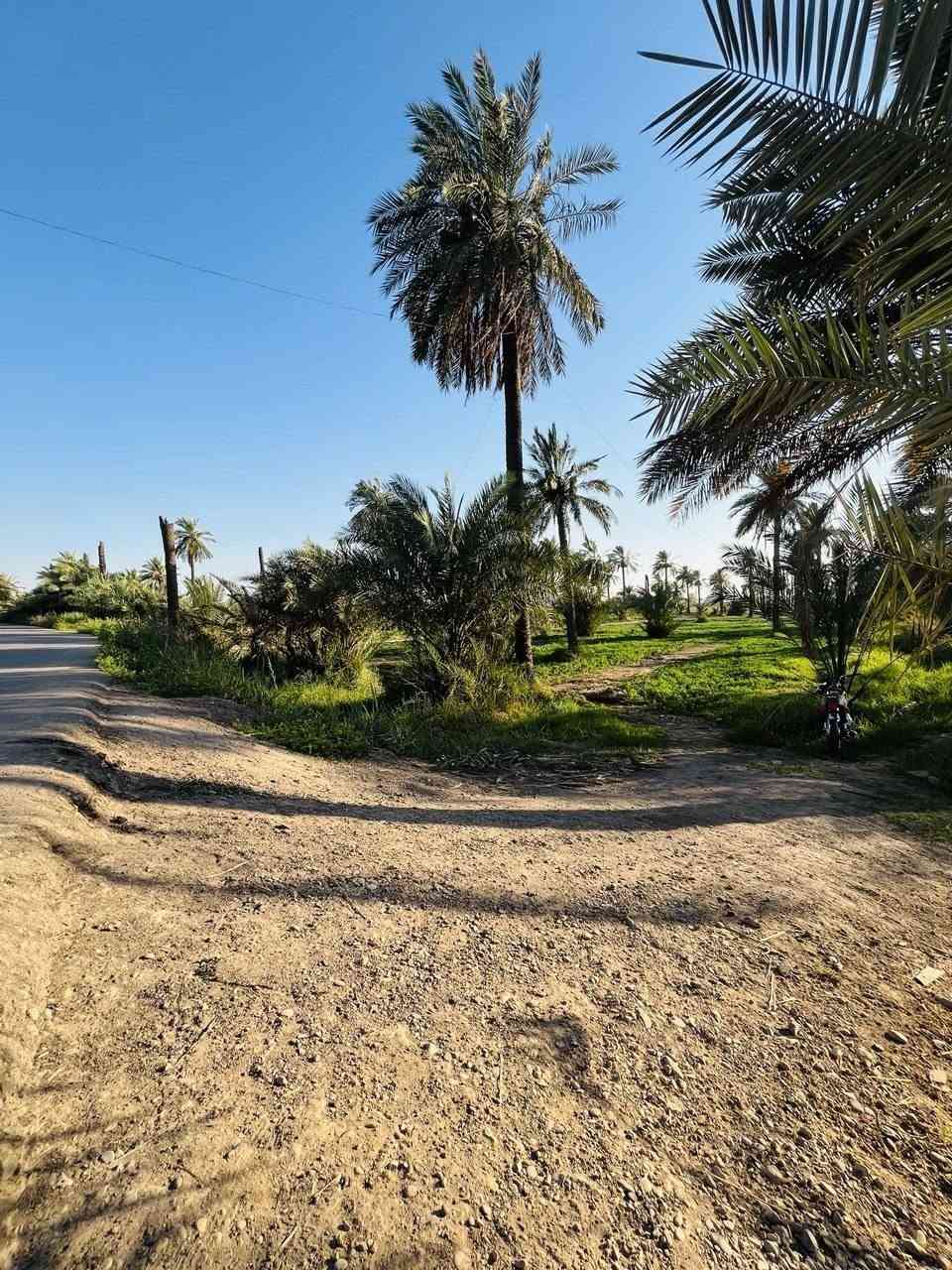 بستان للبيع 10 دوانم بظهر جامعه ميسان طريق الكحلاء


**إذا كنت صاحب هذا الإعلان وتريد حذفه لأي سبب، رجاءا أرسل رسالة إلى الدعم الفني**