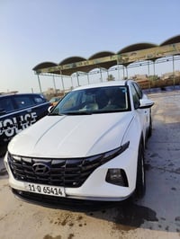 توكسان فول • ٢٠٢٢ • ٦٦٠٠٠ كم