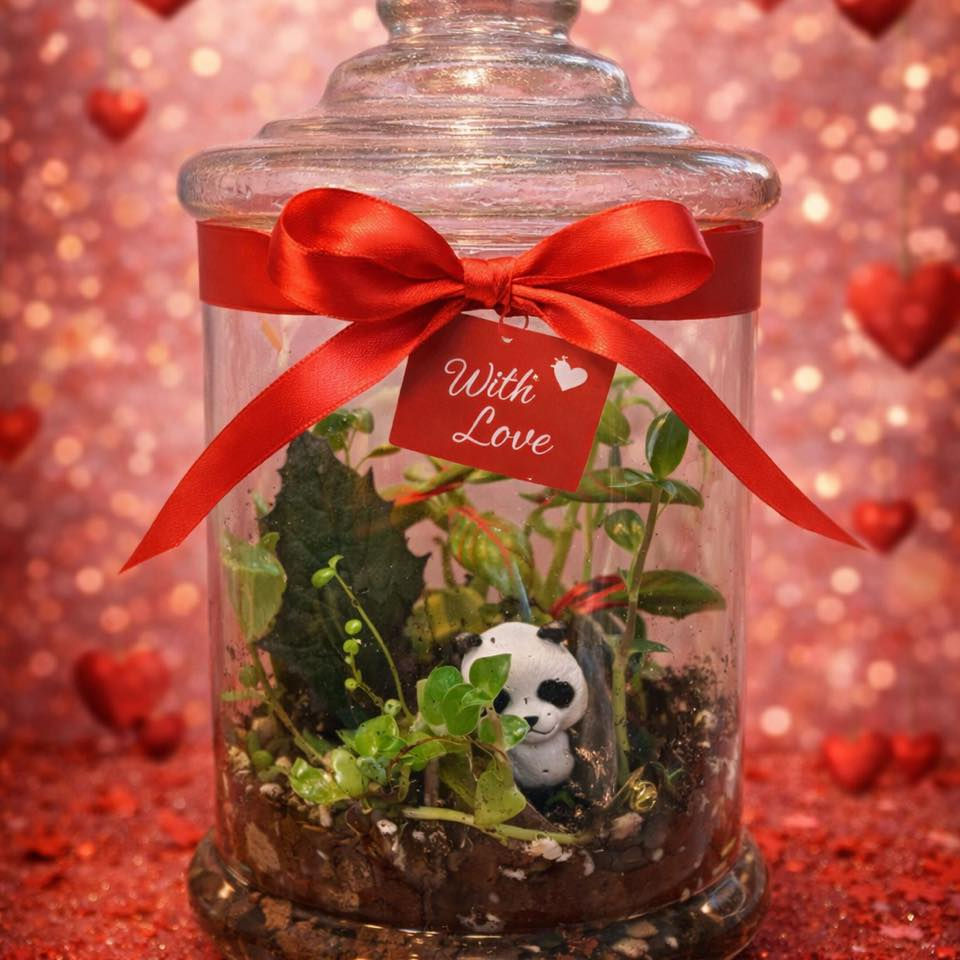 ❤️🌿 عيد حب مختلف… داخل تيراريوم أنيق 🌿❤️  

مو كل الهدايا تُنسى…  
بعضها يبقى يعيش ويكبر قدامكم 💚✨  

من جورية للنباتات Jouriyyah_plants  
نجهّزلك تيراريوم رومانسي أنيق  
بتغليف فاخر… وبطاقة حب بأحلى الكلمات 💌  

💝 تيراريوم جاهز للإهداء  
🌿 تصميم راقي داخل الزجاج  
✨ ذكرى تدوم مثل حبكم  

حبنا مثل هالتيراريوم… عالم صغير مليان حياة ❤️🌿  

احجز هديتك اليوم…

📍 زورونا أو تواصلوا معنا لاختيار نباتاتكم المفضلة
الكندي الاولى السايدين المؤدي للكندي الثانية ومصنع الكندي 
مجاور لحم بعجين الكوخ ومكتب الكندي للعقار
#ديكور #موصل #نباتات _ #استشارات #زراعية #Jouriyyah_plants #هدايا #سمك #فايتر
#غابتي_الصغيرة #plantlover


**إذا كنت صاحب هذا الإعلان وتريد حذفه لأي سبب، رجاءا أرسل رسالة إلى الدعم الفني**