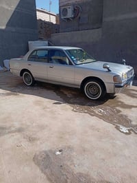 أرنب • موديل ٩٣ • مكفوله